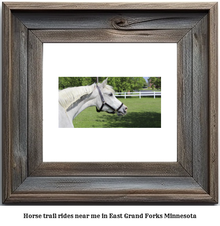 horse trail rides near me in East Grand Forks, Minnesota